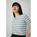 MULTICOLOR BORDER RIB TOPS/ޥ顼ܡ֥ȥåץ /ǥ/ȥåץ åȥ  ȾµMARKDOWN