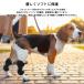 �G�T�|�[�^�[ �y�b�g �� �l�R �L ��p �� �o���h ��� ���L�p �G �T�|�[�^�[ �֐� �v���e�N�^�[ �y�b�g ����T�|�[�^�[ ���p �V�  �_�� ���߉\ ���� �֘A�摜2