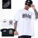 STYLEKEY CLASSIC LABEL 륭 饷å졼٥ ȾµT COOLEMB S/S TEE(SK99CL-SS17) ȥ꡼ȷ 쥲 B Х  礭