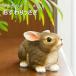  entranceway ... ornament gardening miscellaneous goods interior stylish ornament ceramics garden garden objet d'art lovely animal ....... rabbit SV-6810