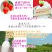 �P�[�L �a�����P�[�L 6�� ���[�X P�t ���N���[�� / �o�[�X�f�[�P�[�L �l�C  ���� �q�� �������� 1�� ������ �����L�O�� �C���X�^�f�� �M�t�g �֘A�摜2