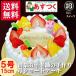 誕生日ケーキ バースデーケーキ プレート 動物菓子2個付/リースデコ生クリームケーキ5号15cm