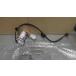 GROM Glo mJC75-1101xxx. топливный насос *1670901085 б/у 
