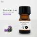  подлинный правильный лаванда . масло 5ml лаванда aroma aroma масло лаванда масло подлинный правильный лаванда масло дешево . сон relax 