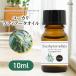  эвкалипт latia-ta. масло 10ml эфирное масло aroma aroma масло аромат натуральный 100% эвкалипт масло 