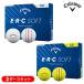 �y2�_�[�X�Z�b�g�z�L�����E�F�C E�ER�EC SOFT(ERC�\�t�g) �g���v���E�g���b�N �S���t�{�[�� 2�_�[�X(24������) 2025�N���f��(���{���K�i)