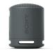 sony динамик Sony Bluetooth беспроводной портативный SRS-XB100 BC черный 