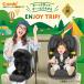 Combi( комбинированный ) Joy поездка advance premiumR129eg амортизаторы SC( черный )ISOFIX фиксация (ISO-FIX фиксация )R129 согласовано |12 лет до *150cm* ученик начальной школы 