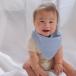 �o�Y�j�� �j�V�� �K�[�[ �X�^�C �̂��� �o�Y�j���� ���킢�� ���� �j�̎q ���̎q ���{�� lien de famille �������h�t�@�~�[�� �֘A�摜5
