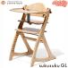 �yyamatoya�F��X�z���������`�F�AGL 5501 �i�`������NA�@��a�� �e�[�u�����K�[�h�t �ؐ� �x�r�[�`�F�A �������߉\ �L�b�Y�`�F�A ���ǂ� �q�� �֎q
