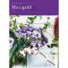  внутри праздник . каталог подарок Marie Gold 