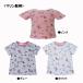  Anpanman & при n Chan baby * Kids короткий рукав футболка / морской рисунок 80~110cm Bandai /TA3140*TA9038 *2 пункт до 1 рейс минут стоимость доставки (200 иен ). доставка *