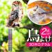 ���悯�O�b�Y �ʔ� ������ 2�_�Z�b�g �t�N���E�^���悯 ��U��t�N���E ���΍�O�b�Y �J���X�΍� �J���X���ރO�b�Y �n�g ���悯 �� �� �h�� �Q�� �쏜
