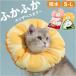  ветеринарный воротник кошка soft почтовый заказ ветеринарный воротник пончики подушка модель ошейник ткань боль . нет мягкий легкий легкий кольцо модель рука .. после травма 