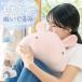 ri.. через Liv Heart Dakimakura L почтовый заказ ..... подушка .......... подушка мягкая игрушка животное животное симпатичный симпатичный мягкий прохладный подкладка 