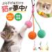  кошка мяч игрушка почтовый заказ ..omo коричневый кошка игрушка коготь ... кошка подвешивание ниже клетка . присоединение . один человек развлечение отсутствие номер движение нехватка аннулирование . кошка мяч игрушка кошка 