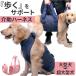  помощь Harness собака для помощь ремень L XL домашнее животное почтовый заказ пассажирский Harness приспособление для ходьбы Harness пассажирский Harness приспособление для ходьбы уход ремень собака все тело все тело поддержка помощь Harness 