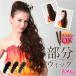 �t�� �E�C�b�O �|�j�[�e�[�� �J�[�� �ʔ� ���{�� �v���V�� HULA-03 prisila �E�B�b�O ���� �t���E�B�b�O �w�A�G�N�X�e �G�N�X�e���V���� �t��