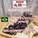 ��5�� �u���W�� �v���~�A���V���R�� 300g �R�[�q�[ �΂����� ���������� �������� �R�[�q�[�� ������ �I�ׂ������x����