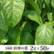  чай Tochuu (2g×50p) местного производства Tetra type чайный пакетик китайский чай чай для зоровья 