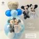 �u���[ver. �o���[�� �d�� ������ ���Џj�� �f�B�Y�j�[ �m�� �~�b�L�[ �~�j�[�̃E�F�f�B���O