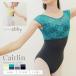 abby балет Leotard Kate Lynn * гонки & бюстье Leotard *2 листов до почтовая доставка возможно 