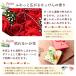 �\�[�v�t�����[ �{�b�N�X ���[�Y �{�b�N�X �t�����[�M�t�g �o�� ���� �t�����[�\�[�v �V���{���t�����[ �a���� �L�O�� �h�V�̓� �v���[���g �֘A�摜2