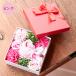 �\�[�v�t�����[ �{�b�N�X ���[�Y �{�b�N�X �t�����[�M�t�g �o�� ���� �t�����[�\�[�v �V���{���t�����[ �a���� �L�O�� �h�V�̓� �v���[���g �֘A�摜5
