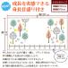 �n�J���b�J �k���f�U�C�� �o�Y�j�� ���{�� �K�[�[�^�I���P�b�g �����^�I���F�� �����ꖳ�� �K�[�[�P�b�g �K�[�[�^�I�� �o�X�^�I�� �g���v�t���o�X�^�I�� �֘A�摜4