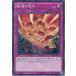 ͷǤᡡΡޥ롡SR04-JP033 STRUCTURE DECK R -äθư-