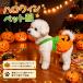  Halloween домашнее животное маскарадный костюм тыква платье собака кошка маленький размер собака костюм тыква костюм мульт-героя одежда осень костюм One-piece 