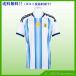 2026 Argentina представитель копия форма 