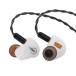 Linsoul ZiiGaat×Fresh Review Arete 1DD+4BA hybrid type черный высокого уровня HiFi наушники крепкий 10mm