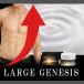 LARGE GENESIS( Large * GENESIS ) мужской дополнение больше большой . сила EGF L- аргинин 