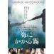  море . требуется туман прокат б/у DVD корейская драма 