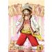 ONE PIECE ԡ 19th ۡ륱 1(783á786) 󥿥  DVD