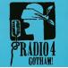  Gotham! прокат б/у CD