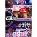 ���������ƥ���CUBE TV 2(��8�á���12��) ��󥿥���� ��� DVD  �����ɥ��