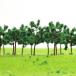 .. коллекция дерево модель tree tree модель 5cm 1:25~1:300 N HO gauge для 40шт.@ пейзаж коробка двор железная дорога модель здание модель geo лама .