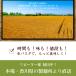 �ǂ�܂� ���p�X�^ �|�C���g���� 3�킩��I�ׂ� �]��̐��p�X�^ 6�H �˂̂� 180g�~3 �H�i  �p�X�^ �t�F�b�g�`�[�l �����O�C�l �X�p�Q�e�B �������� ���� �֘A�摜5