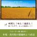 �ǂ�܂� ���p�X�^ �p�X�^ 5�킩��I�ׂ� �]��̐��p�X�^ 6�H �˂̂� �������� �H�i �|�C���g���� �p�X�^ �t�F�b�g�`�[�l �����O�C�l �X�p�Q�e�B �֘A�摜5