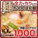 送料無料 ちゃんぽん5食 特製スープ付き ゆうメール便 お試し セール ポイント消化 オープン記念 食品 福袋 最安値 期間限定 訳あり うどんだし グルメ セット