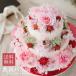�v���[���g �M�t�g ���j�� ���� ���j�� ���� �a���� �v���[���g  �v���U�[�u�h�t�����[ �t�����[�P�[�L �K�g�D�[