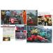 Ferrari F1/87&88C�@ 1987-1988�W���[�z���_�鑠�ʐ^�@NO11 MFH BOOK �֘A�摜5