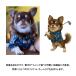 �����̎q�S���t �� �L �S���t �l�[���^�O �L���f�B�o�b�O ���D �I�[�_�[ ������ �y�b�g ����G �S���t�X�C���O �C���X�g ���� ���� �A�N���� �`���� �֘A�摜2
