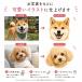 ������ �p�^�[�J�o�[�z���_�[ �p�^�[�J�o�[ �z���_�[ �S���t �y�b�g �� �L �����̎q �ʐ^ �C���X�g �I���W�i�� ���O���� ���b�Z�[�W �I�[�_�[���C�h �M�t�g �֘A�摜5