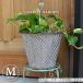 ve in leaf pot M размер внутренний диаметр 22cm жестяная пластина pot цветочный горшок посадочная машина цветок pot ko отдушина сад CoventGarden