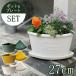 угол eko pot 200 27cm 3L посадочная машина цветочный горшок . форма угол лестница модный наружный закрытый papie садоводство пластик старый бумага сад горшок желтый цвет зеленый белый 