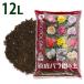  Pro to leaf столица . роза .. земля 12L 1 пакет cубстрат роза. земля для земля миниатюра rose Old rose 