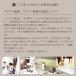 �C�J�b�g�n���K�[ �o���G�� �ؐ��n���K�[ �A�W�A���Ǐ��� �A�W�A���Ƌ� �A�W�A���C���e���A �^�y�X�g���[ �z�n���K�[ �ؐ������[�t �A�W�A�������[�t W150cm �֘A�摜5